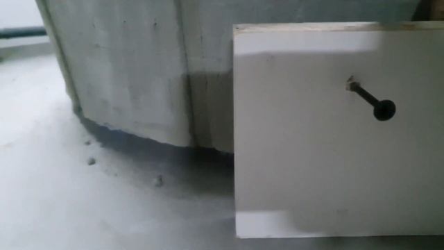 КУДА ПОСАДИТЬ ЦВЕТЫ.