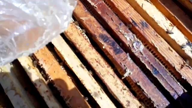 Основные работы в апреле на пасеке. Готовимся к весеннему мёдосбору. смотреть онлайн