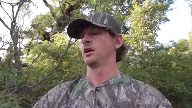 Shotgun Drops 7 Pigs With 00 Buckshot смотреть онлайн