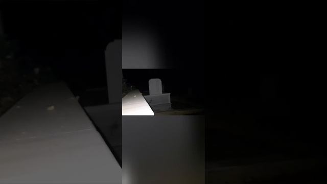 SATANİSTLER TARAFINDAN ÖLDÜRÜLEN GENCİN | ÖLÜ BULUNDUĞU MEZARLIKTA | GECE ÇEKİMİ YAPTIM | VİDEO смотреть онлайн