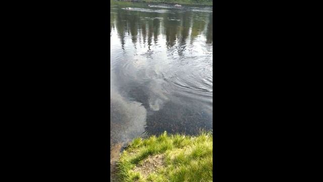 Кольский 2019 смотреть онлайн