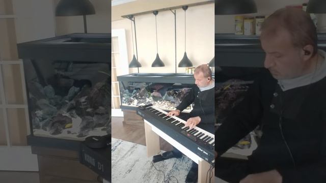 korg d1 смотреть онлайн
