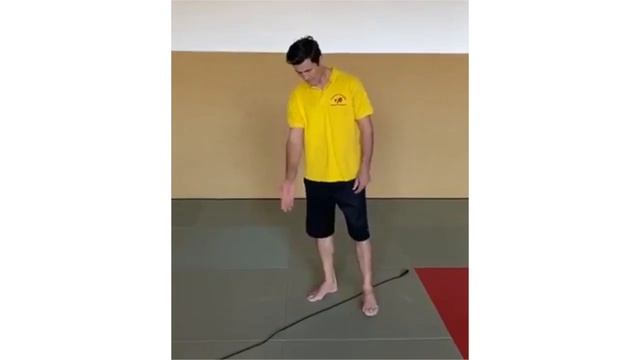 KVBW-Training zu Hause: Einzeltechniken / Kizami-Zuki смотреть онлайн
