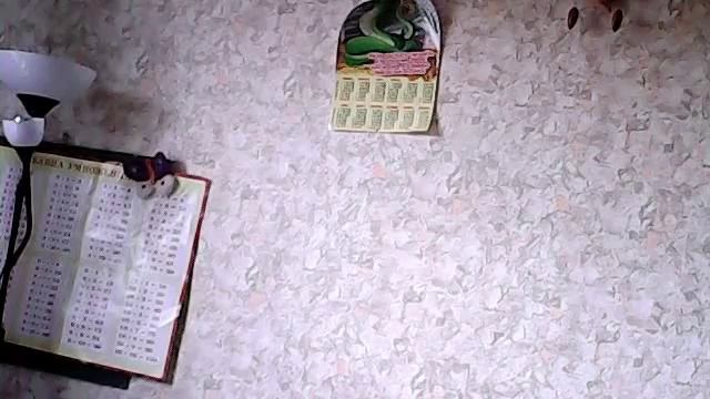 Видео с веб-камеры. Дата: 9 июня 2013 г., 12:34. смотреть онлайн