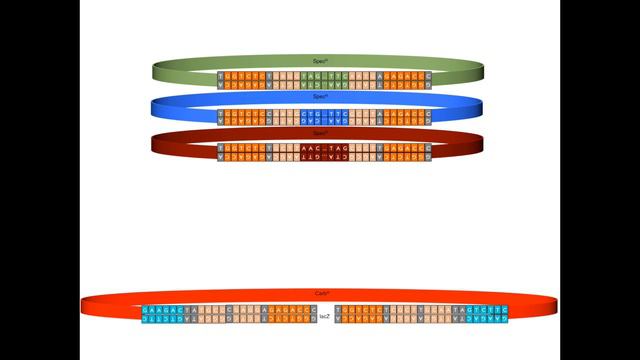 Golden Gate Cloning Video 5: How To Assemble A Comple Transcriptional Unit From Standard Parts