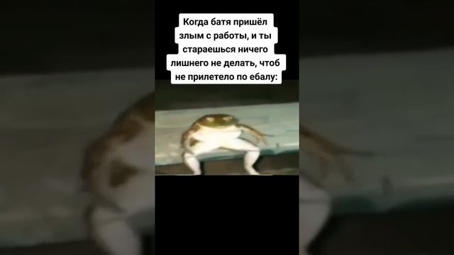 аку сая смотреть онлайн