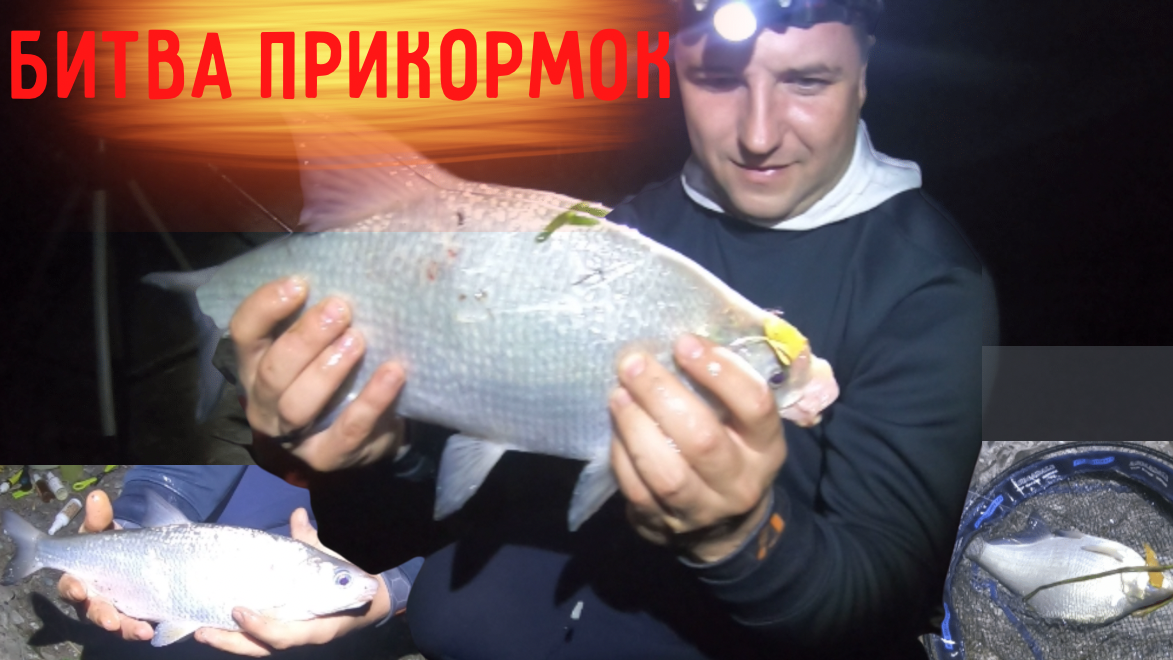 БАТЛ НА РЫБАЛКЕ. СООТВЕТСВУЕТ ЛИ ПРИКОРМКА И АРОМА К ЗАЯВЛЕННОЙ РЫБЕ. РЕЗУЛЬТАТ НА ЛИЦО. ЛЕЩ.РЫБЕЦ! смотреть онлайн