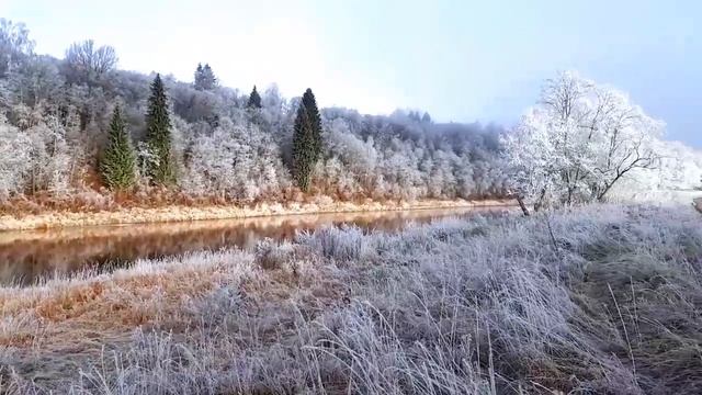 Иней. Первые заморозки. Морозная сказка. Красивая осень. смотреть онлайн
