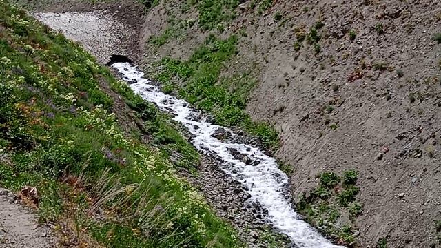 VID_20230611_115748.mp4