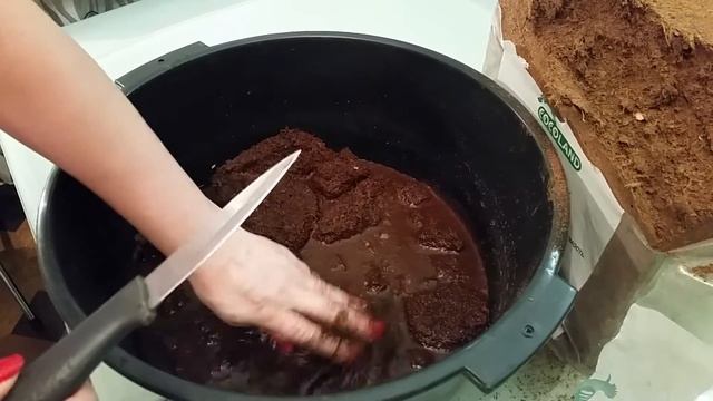 Подготовка грунта для рассады. Начало. Кокосовый субстрат. смотреть онлайн