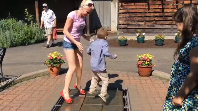 США. Erie ZOO смотреть онлайн