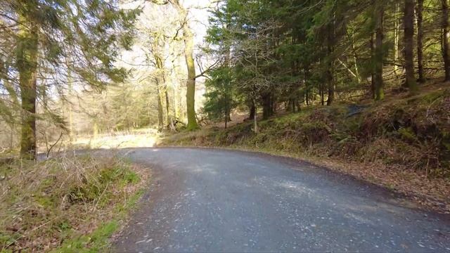 Ирландия / Чем кормят в Голливуде/Не голливудская прогулка/Hollywood/Графство Уиклоу смотреть онлайн