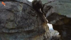 УПАЛ СО СКАЛЫ / КОЙОТ ЖИВОЙ?! / Койот Питерсон на русском