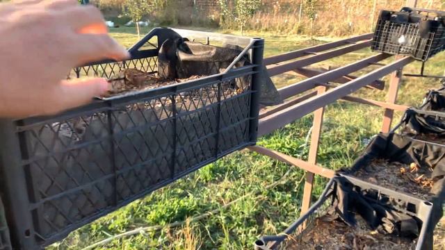 Огород на землёй - неудачный эксперимент, фиксирую убытки смотреть онлайн