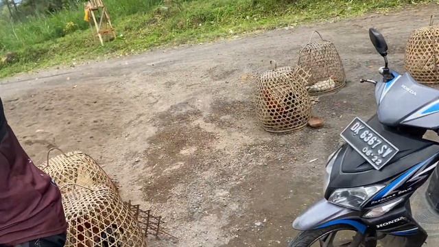 Нестандартные развлечения Бали | E-bike на Бали смотреть онлайн