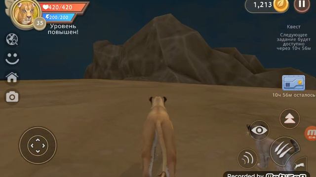 //клип//WildKraft. Дикая львица🦁 смотреть онлайн