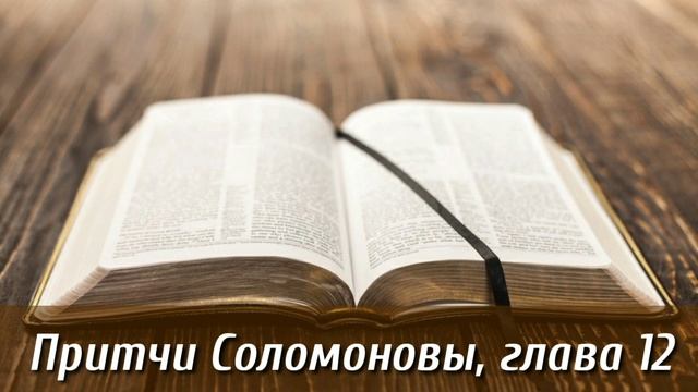 Притчи Соломоновы, 12 глава | Библия на каждый день| Слушать Библию Притчи 12 глава | День 17 смотреть онлайн