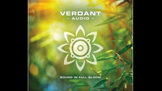 Verdant Audio Nightshade Speakers, AVM Ovation MA 8.3 Mono Blocks, Chord Hugo 2 DAC, Ode To Joy смотреть онлайн