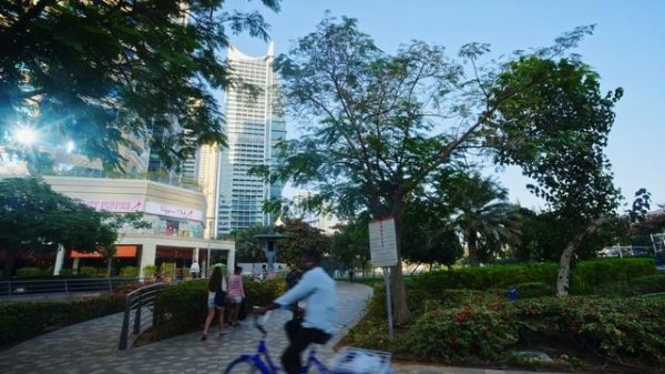 Обзор районов Дубая. JLT / Jumeirah Lakes Towers