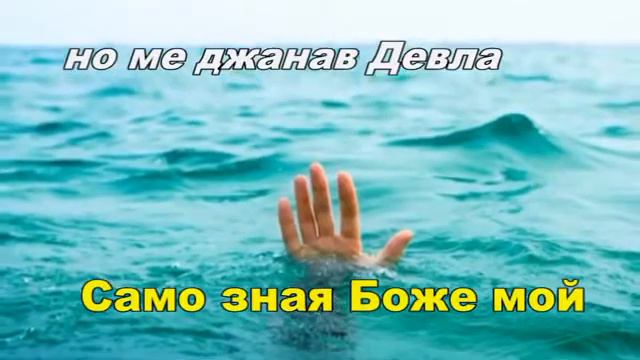 Коцето германеца смотреть онлайн