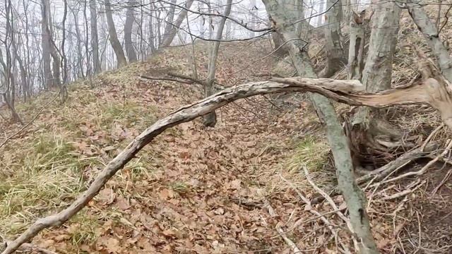 Туапсе. Кадош. Тропа вдоль ручья. Дача инженера Коробко (Горелая дача). смотреть онлайн