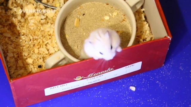 В ГОСТЯХ: КАНАЛ JessLife - Хома онлайн смотреть онлайн