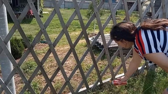 Ремонт забора?. Рады гостям??. Курочки на суп/Хуторок у Реки/Life In The Village