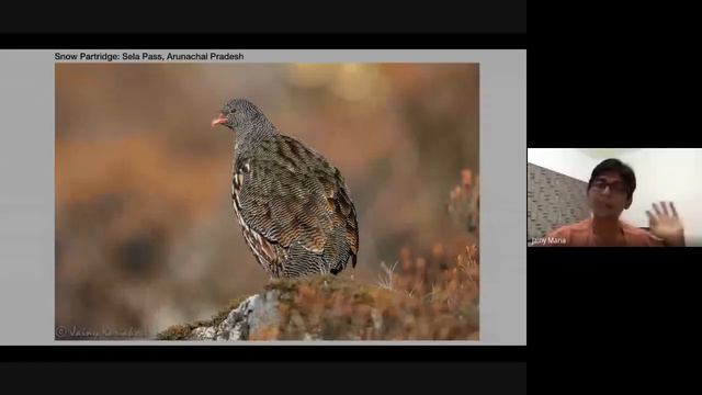 Wildlife Week Day 6 A journey for feathered wonders - Dr Jainy Kuriakose смотреть онлайн
