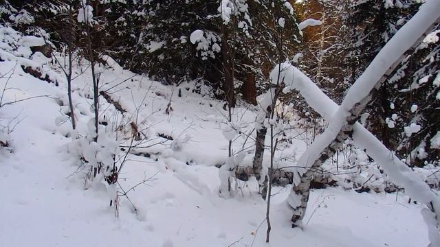 Южный Урал ! Зимний поход на хребет Гребни ! Панорама Уральских гор ! Зимняя Уральская тайга ! смотреть онлайн