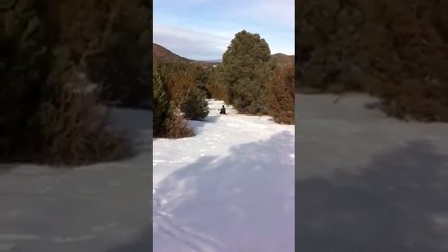 2013 sledding смотреть онлайн