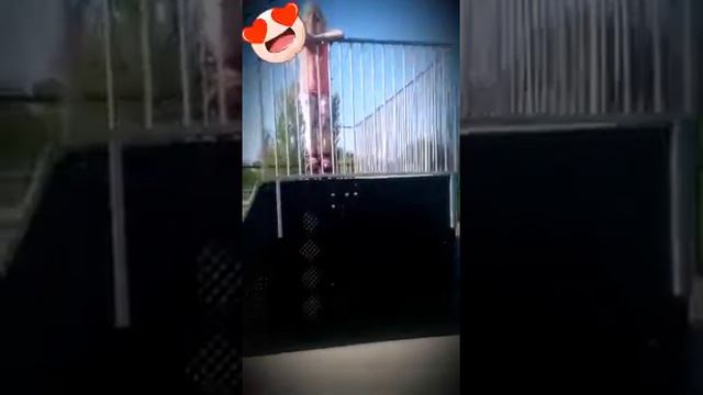 Скейт парк . Диана и Алина ))) смотреть онлайн