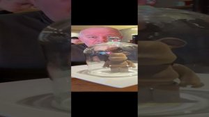 Сколько в России медведей?