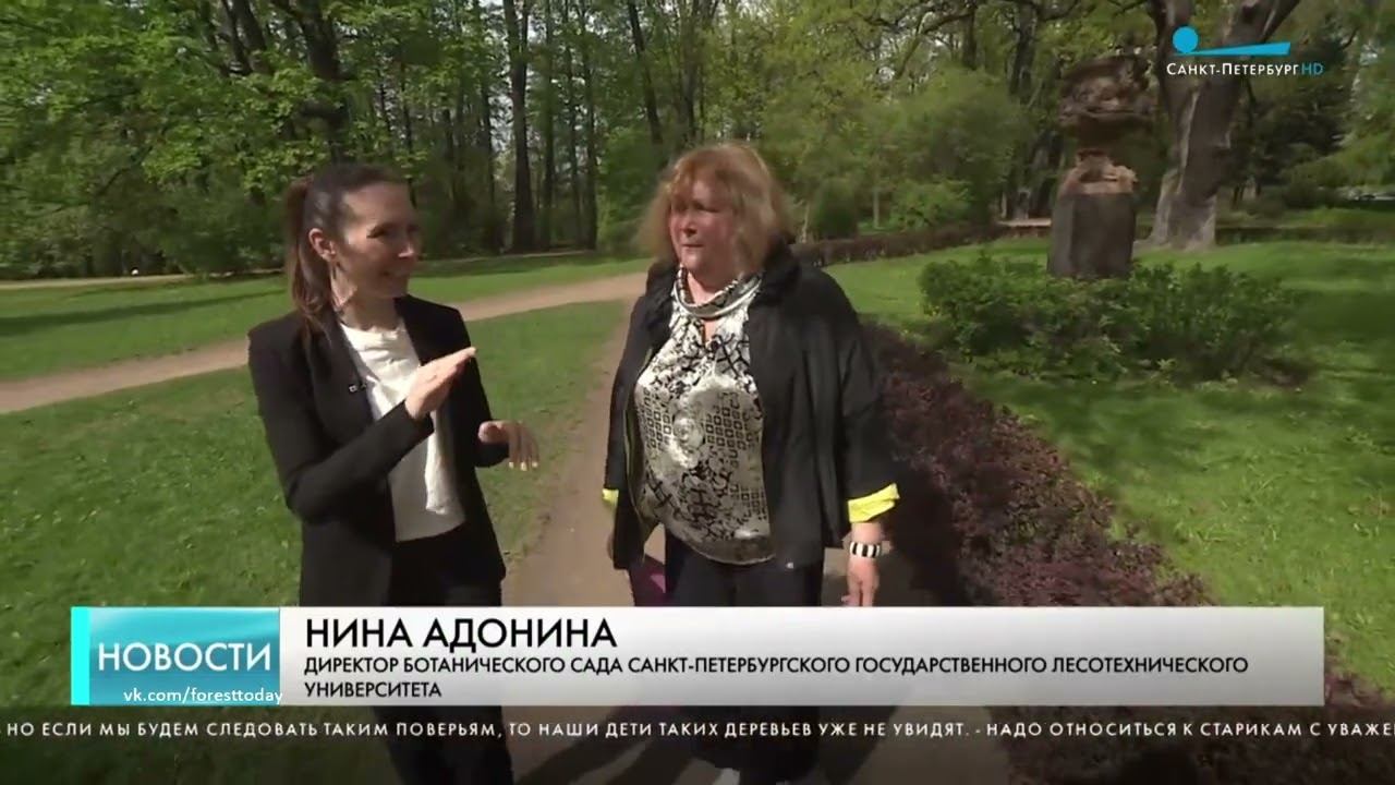 Старовозрастные деревья парка СПбГЛТУ в репортаже телеканала Санкт-Петербург смотреть онлайн