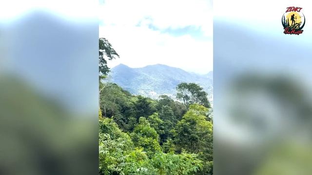 เดินลุยป่า&ตามหาหาดลับ ที่เกาะเต่า (Koh Tao) ในวันคริสต์มาส...แถมเจอ Viewpoint สุดอลังการ!! ?️??? смотреть онлайн