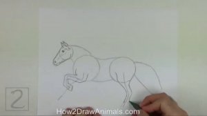 Как нарисовать бегущую лошадь