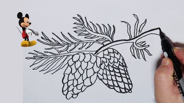 Haw to draw pine cone | Рисуем шишка для детей смотреть онлайн