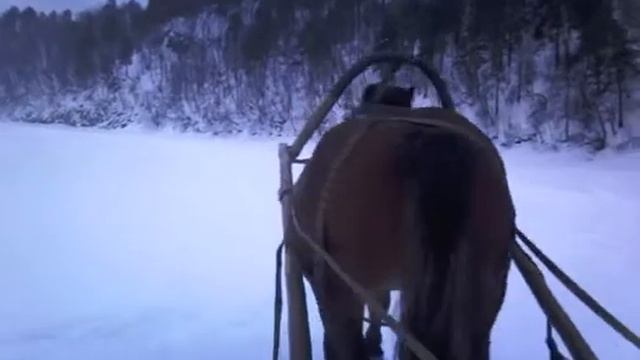 3ий день обучения Алмаза смотреть онлайн
