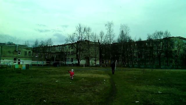 Ника ловит птиц смотреть онлайн
