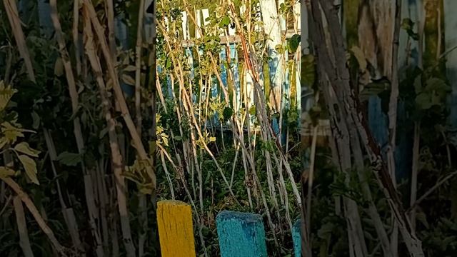 Утро в башкирской деревне смотреть онлайн