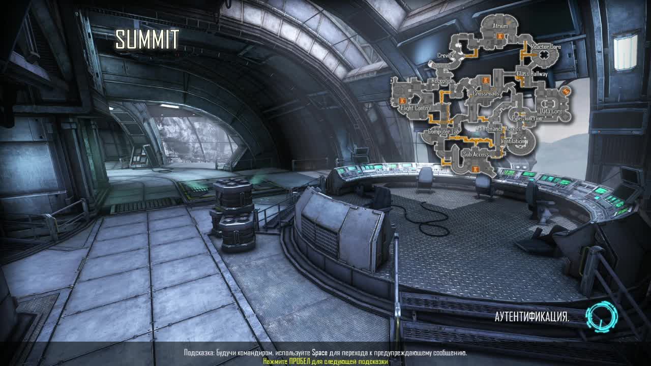 Natural Selection  2