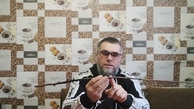 Обрезка плодовых на клик Где и как применяется смотреть онлайн