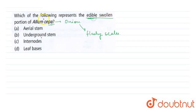 Which Of The Following Represents The Edible Swollen Portion Of Allium Cepa ? | 11 | MORPHOLOGY ...