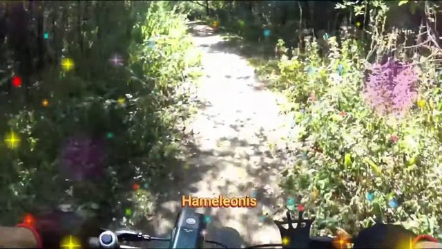 Чем больше солнца в душе, тем ярче жизнь вокруг! 🚴🌞🥰💞😂 смотреть онлайн