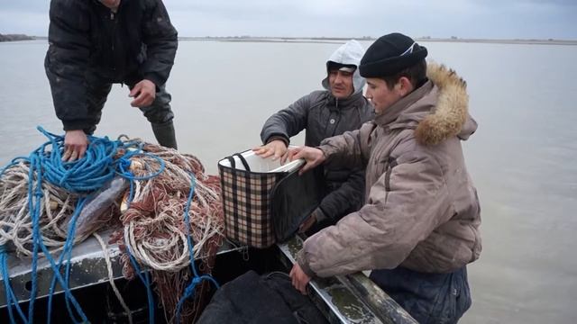 За лопатоносами Хорезм Декабрь 2015 г Амударья Хива Часть III смотреть онлайн