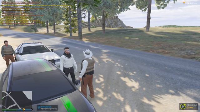 как проводить трафик стоп GTA 5 RP STRAWBERRY LSSD смотреть онлайн