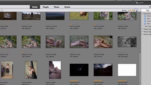 How to use Star Ratings in Photoshop Elements: Workflow смотреть онлайн
