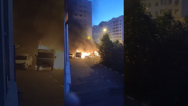 1000002891.mp4 смотреть онлайн