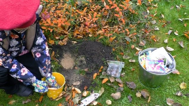 Поздняя посадка луковичных цветов. Ландшафтный дизайн с луковичными цветами. смотреть онлайн