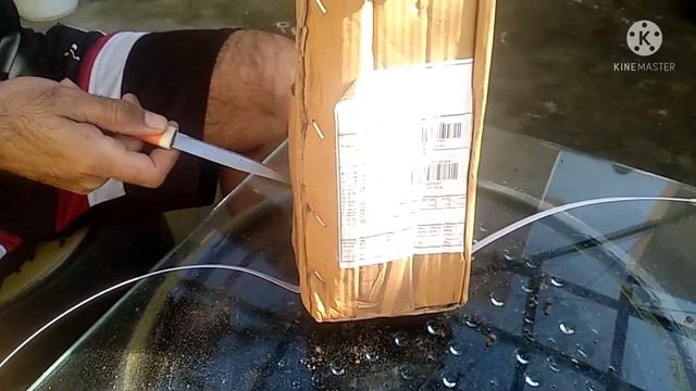 छिपकली बेल | ficus pumila | creeping fig - unboxing nursery live plant | online plants смотреть онлайн