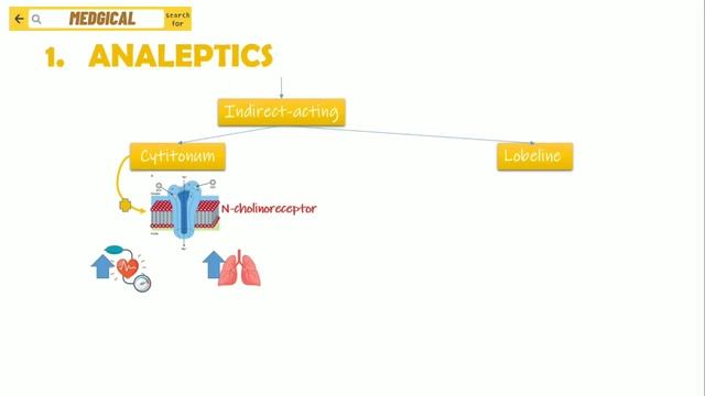 USMLE_PLAB STEP 1 preparation _ ANALEPTICS _ MADE EASY.mp4 смотреть онлайн